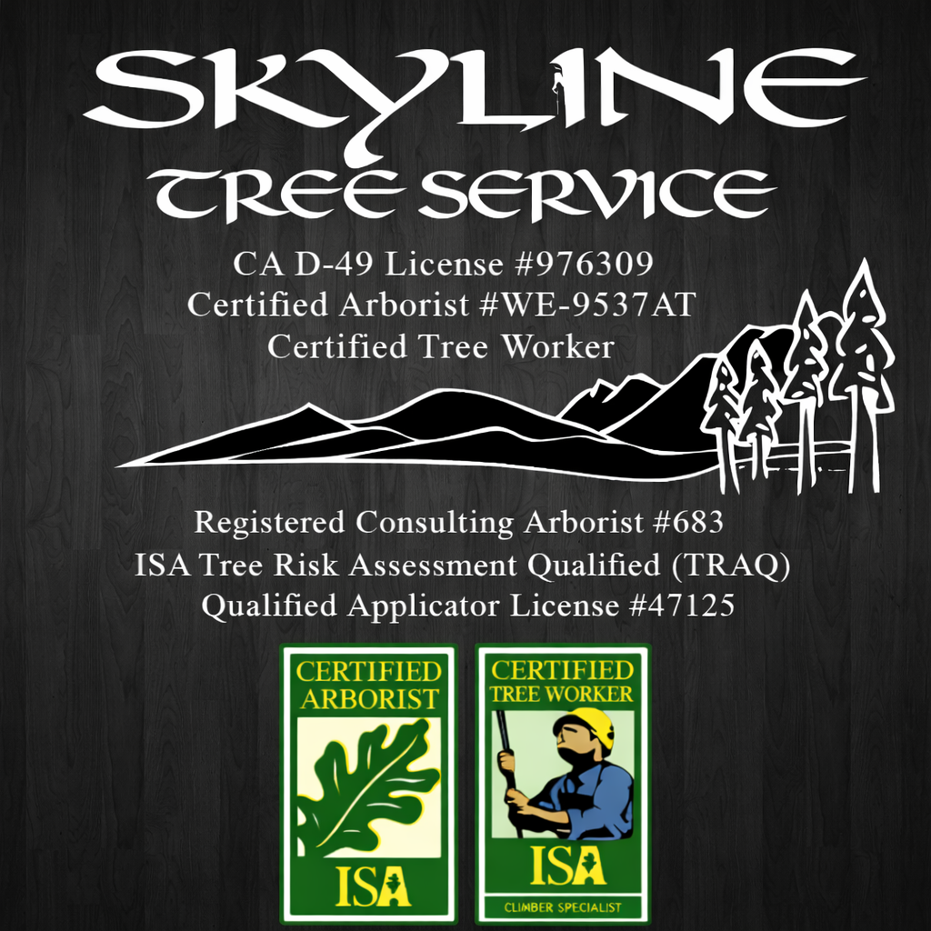 Skyline Arborist Mobile