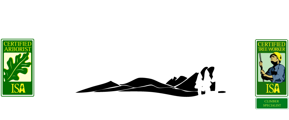 Skyline Tree Service Mammoth Lakes